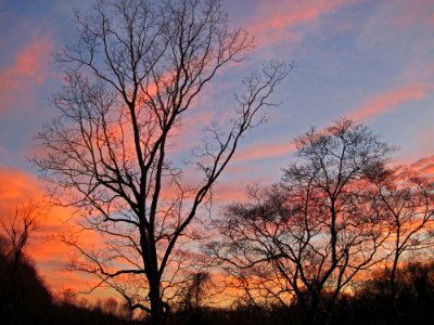 Sunset at Salt Meadow