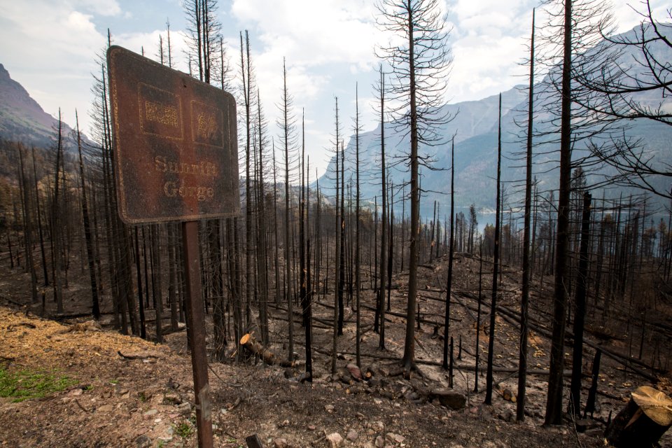 Reynolds Fire 2015