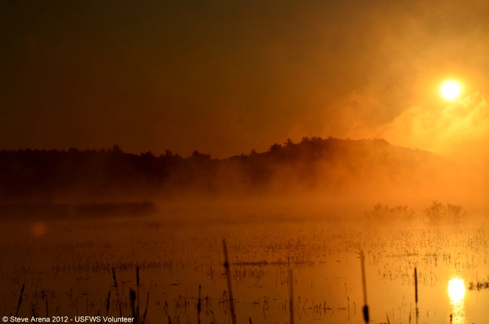 Sun Up at Great Meadows NWR, Concord, MA