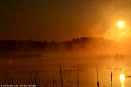 Sun Up at Great Meadows NWR, Concord, MA