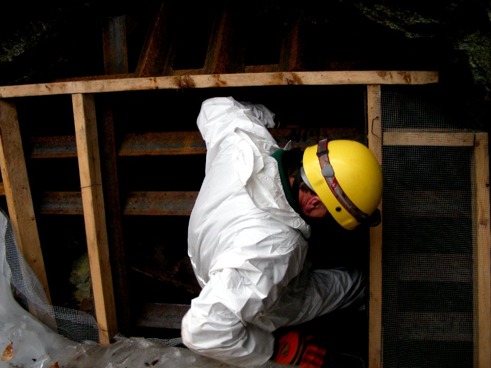 Biologist entering the mine