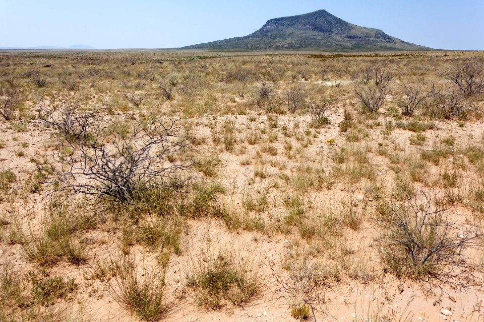 East of Alamo Mountain