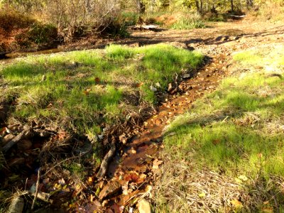 Pigg River Power Dam  Breach - Day 43