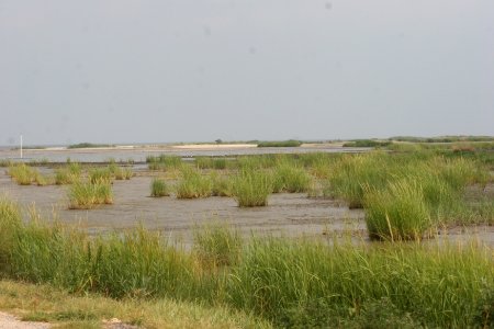 Prime Hook NWR