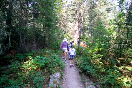 Visitors at Baring Falls photo