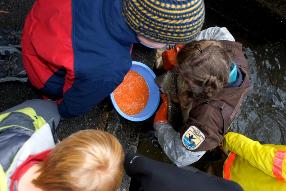 Richard Cronin National Salmon Station