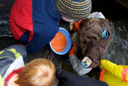 Richard Cronin National Salmon Station