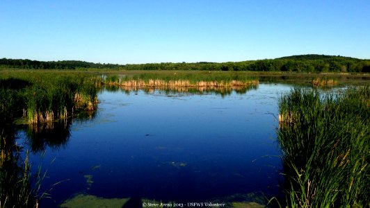 Lower Pool - Great Meadows NWR photo