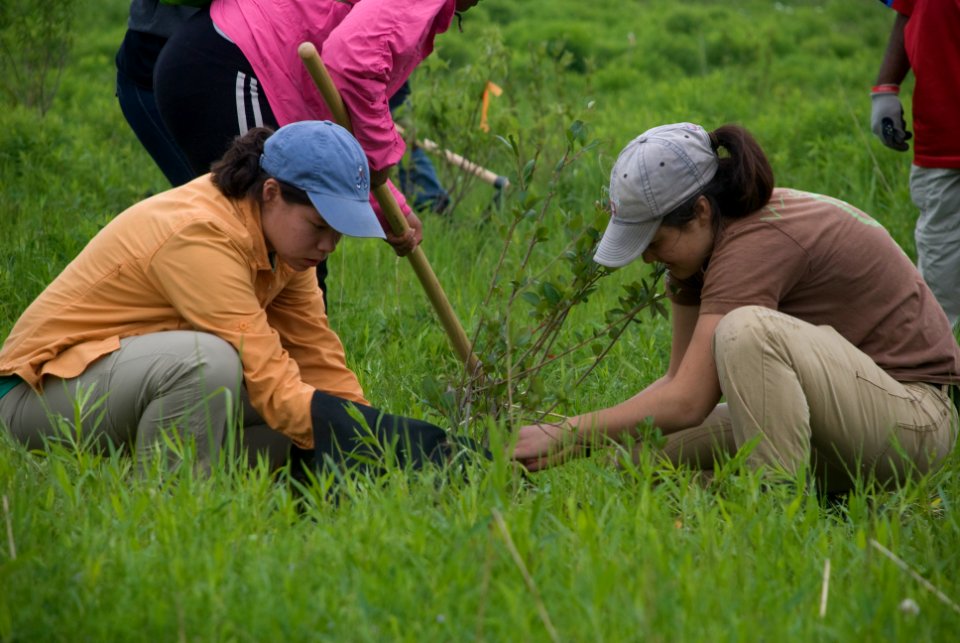 CIP Students planting trees