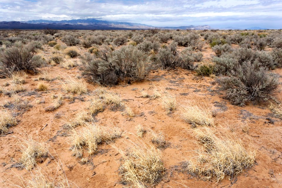 Northern Jornada Plain