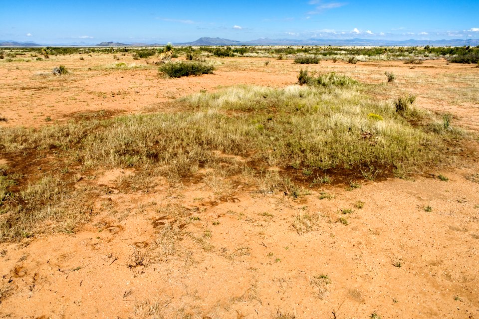 East of Lone Mountain