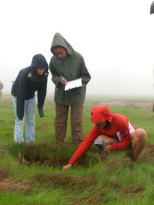 CIP Students in the field photo