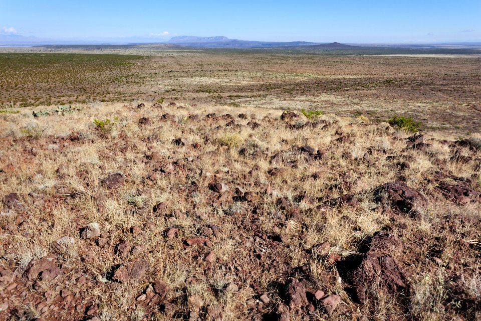 Near Ash Spring