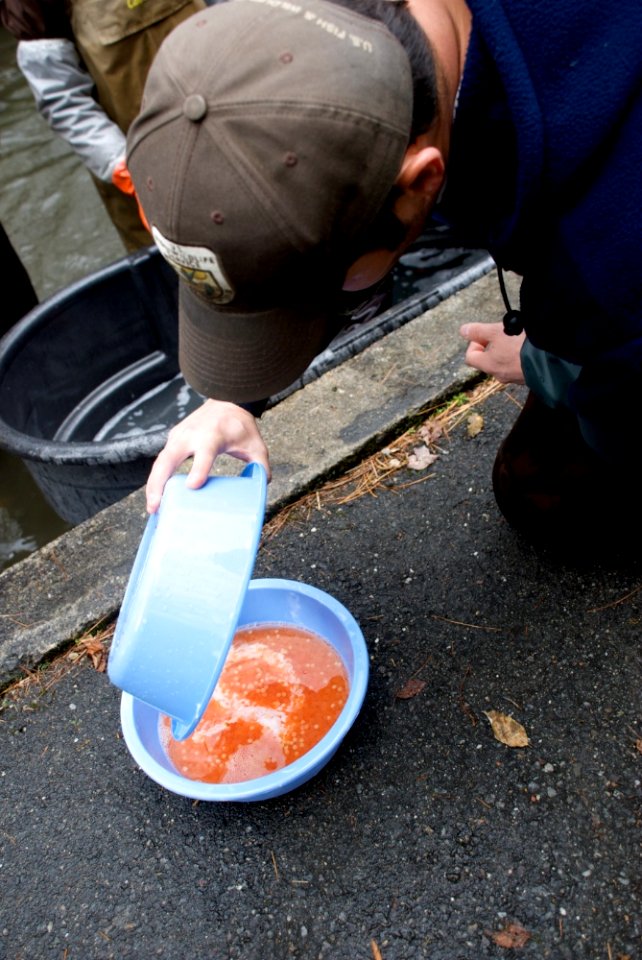 Richard Cronin National Salmon Station