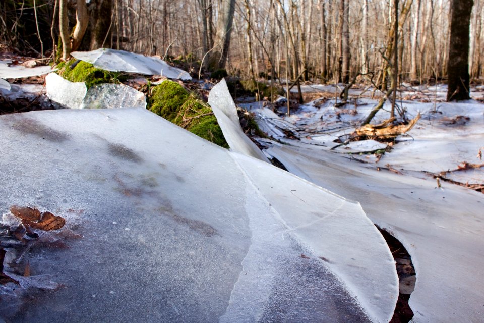 White River floodplain