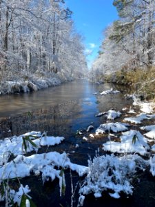 Snowy Ditch at Great Dismal Swamp National Wildlife Refuge