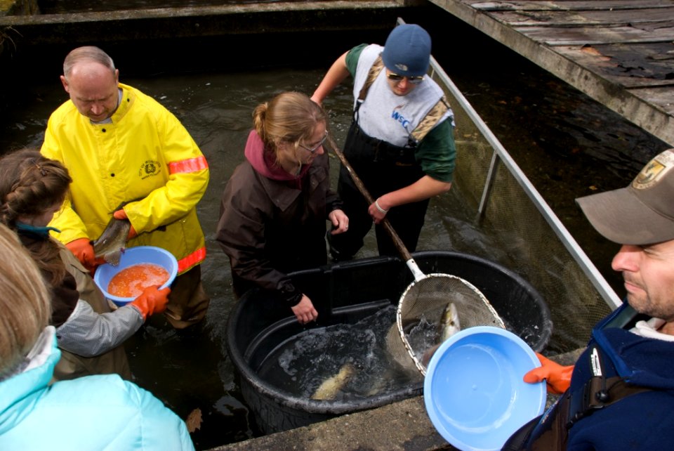 Richard Cronin National Salmon Station