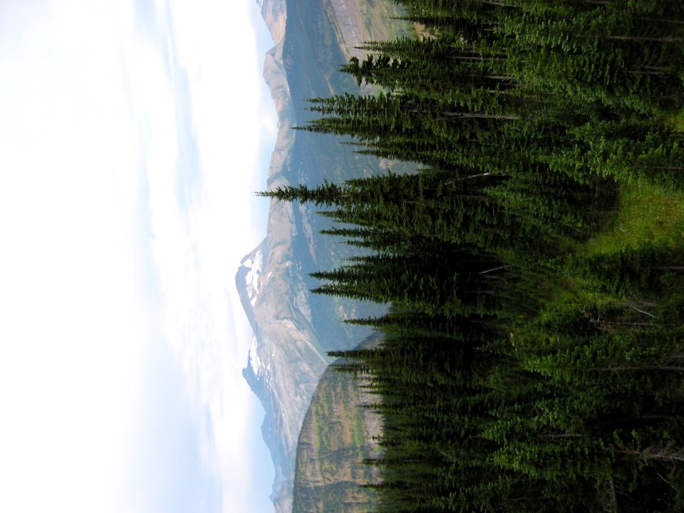 Two Ocean Glacier on Vulture Peak
