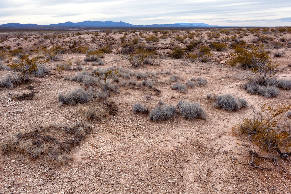 East side of Rincon Arroyo
