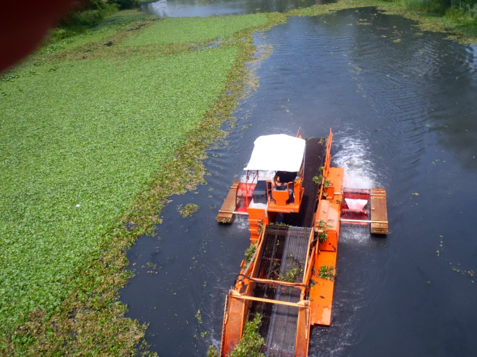 Mechanical Harvesting of Water Chestnut in 2010