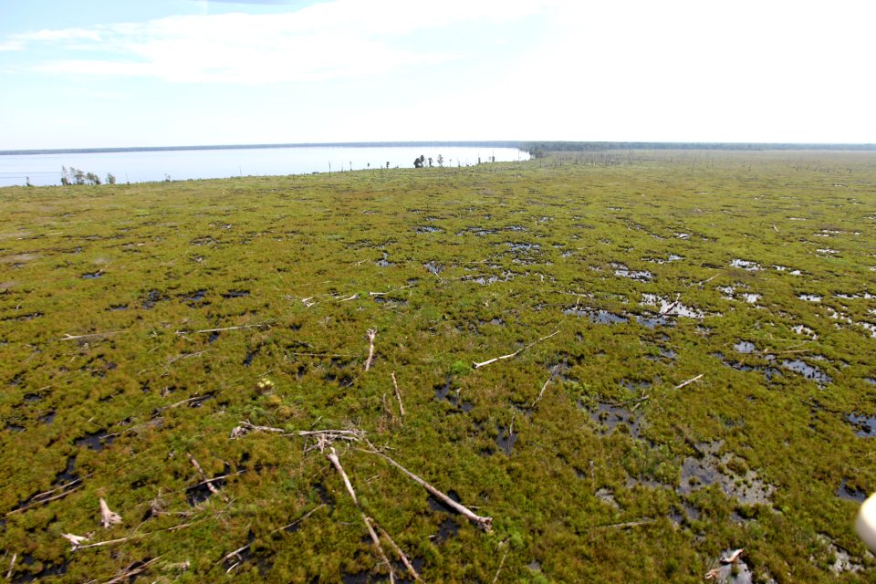 Day 5 - Great Dismal Swamp, VA - Hurricane Sandy Aerial Tour