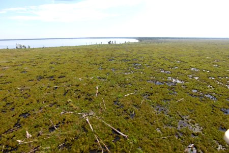 Day 5 - Great Dismal Swamp, VA - Hurricane Sandy Aerial Tour