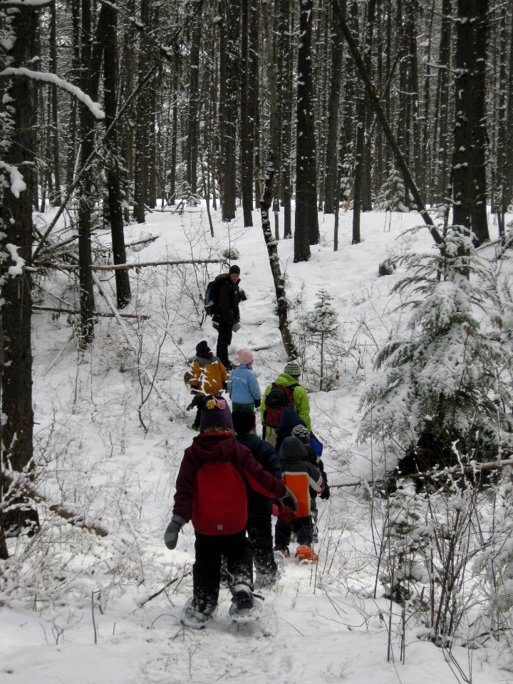 Winter Ecology Education