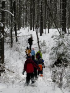 Winter Ecology Education