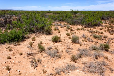 East of Jornada Lakes