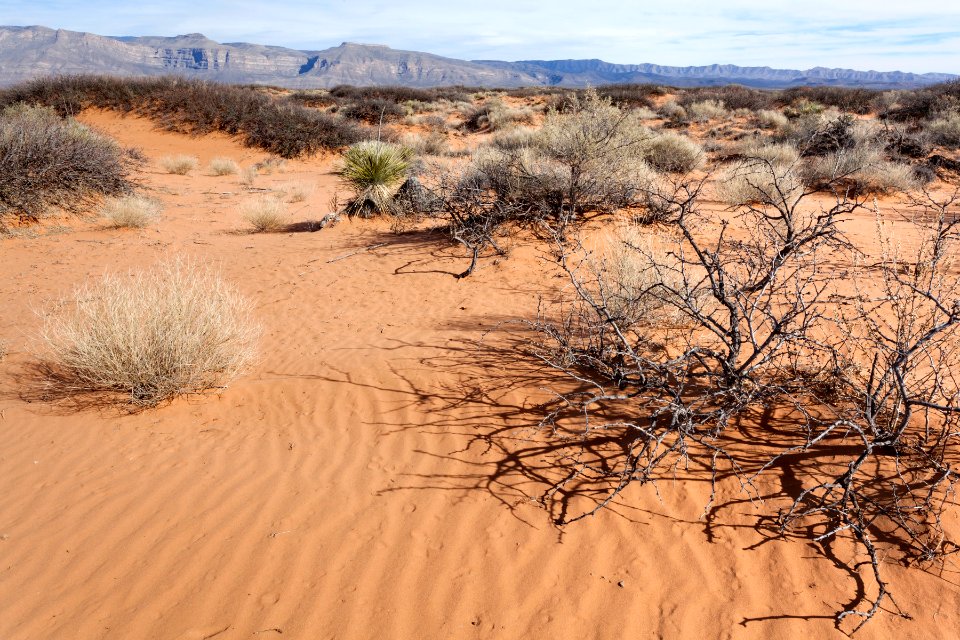 Southeast of Lone Butte