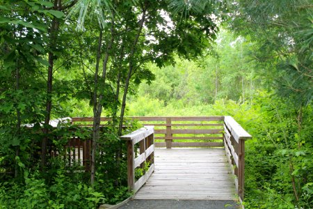 The Fort River Birding and Nature Trail
