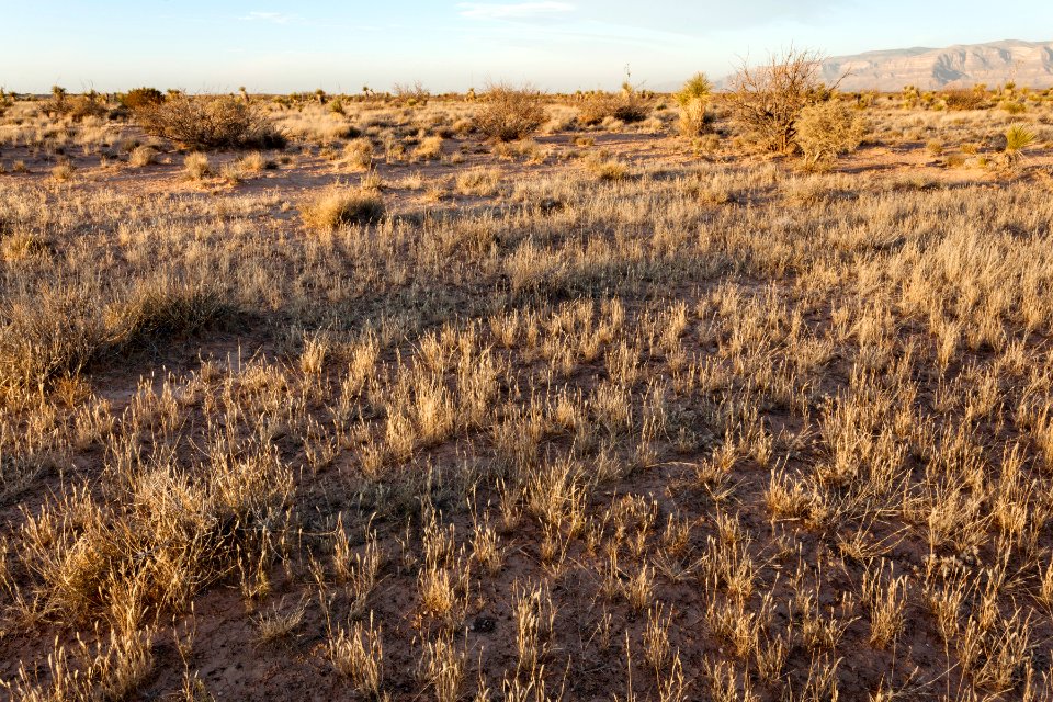 Southeast of Lone Butte