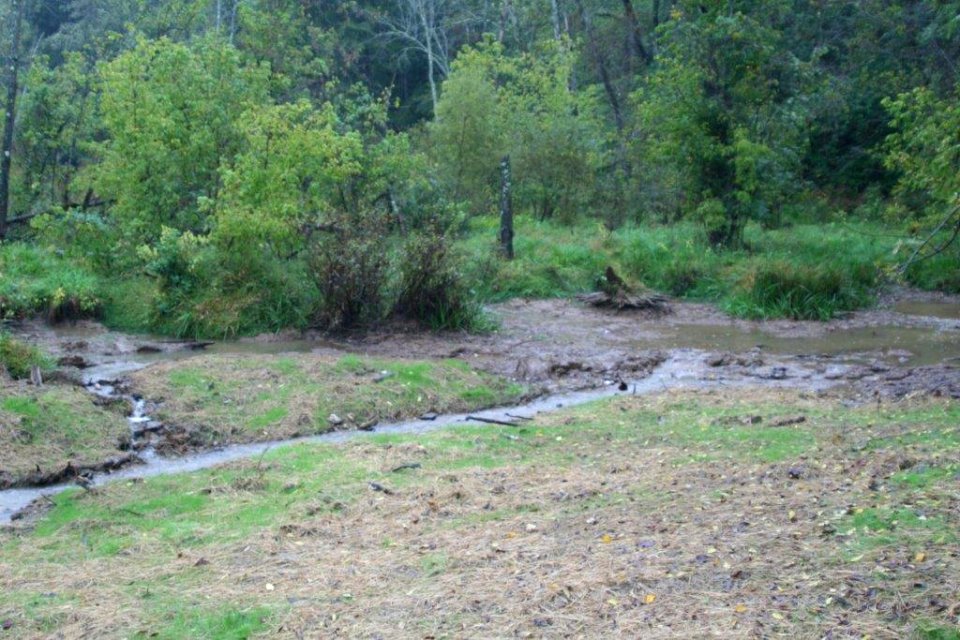 Pigg River Power Dam  Breach - Day 35
