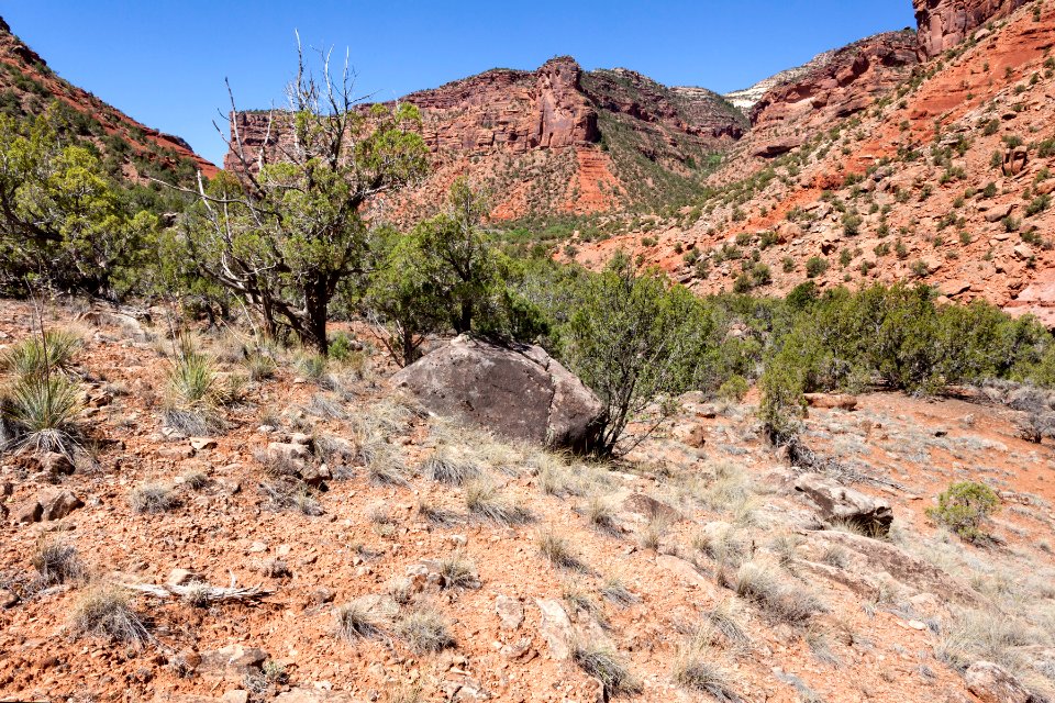 Salt Creek Canyon