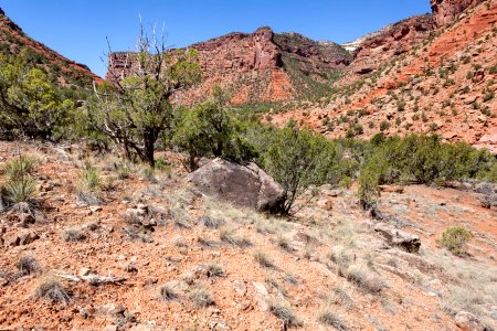Salt Creek Canyon