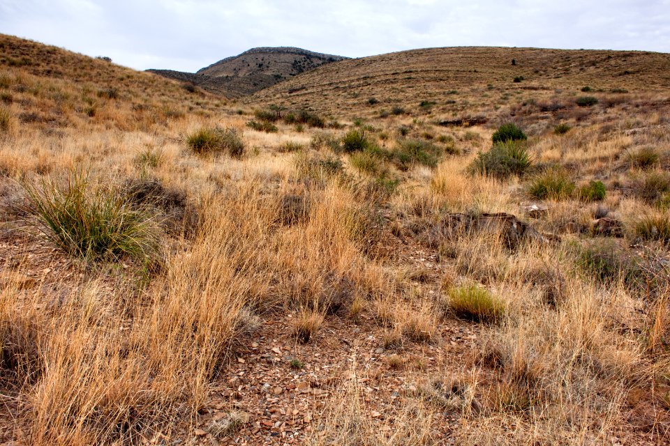 West of the Ash / Salt Canyon junction