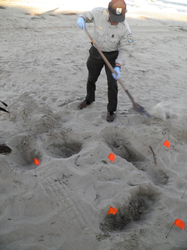Digging the trench.