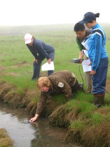 Learning how to measure salinity in a salt marsh photo