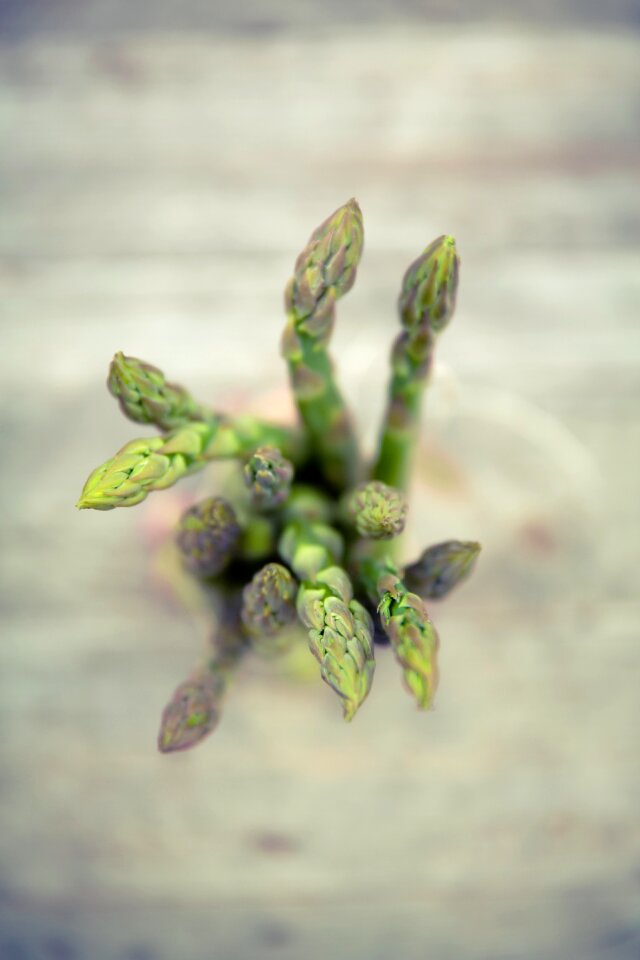 Nature plant agriculture