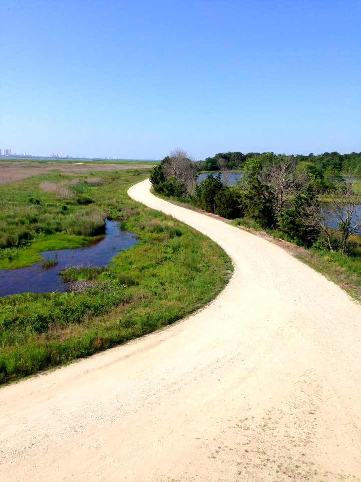 Forsythe wildlife drive after hurricane repairs