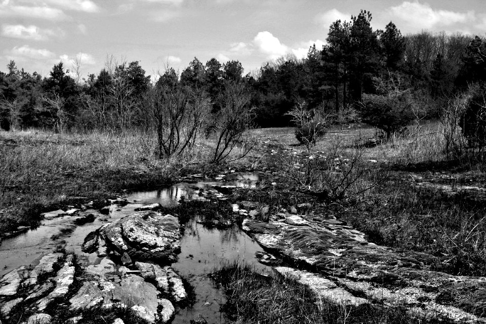 Middle Fork Barrens