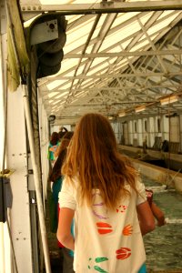 Freshwater Folk Festival (21)