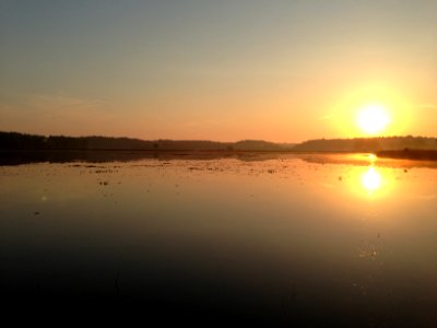 Marshbird Survey Sunrise photo