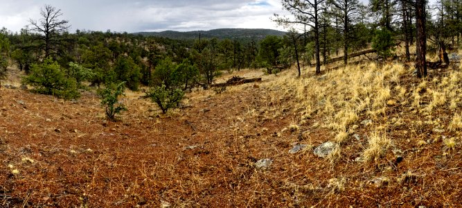 Continental Divide Trail