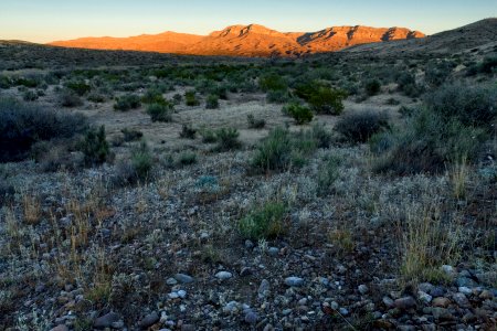 Greenhorn Arroyo