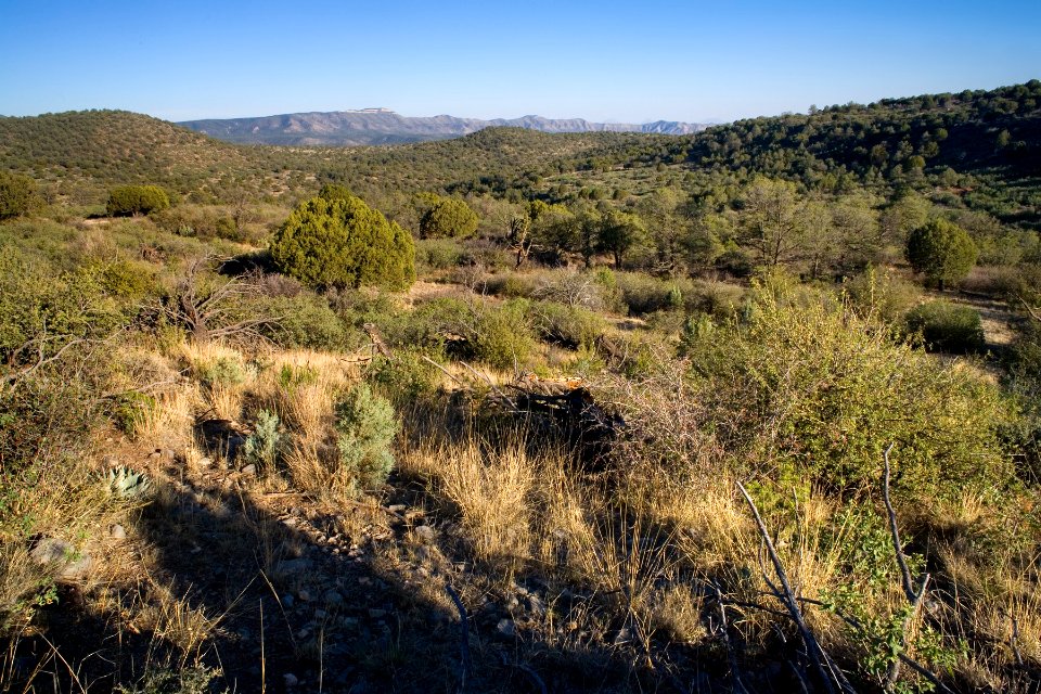 Rock Waterhole Canyon