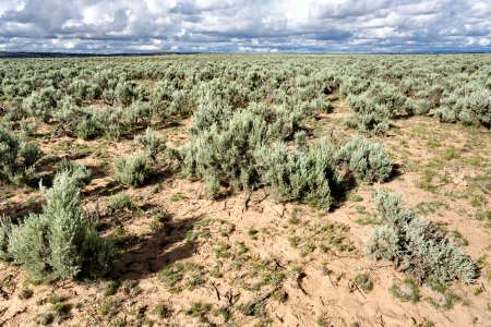 Near Chaco Wash photo