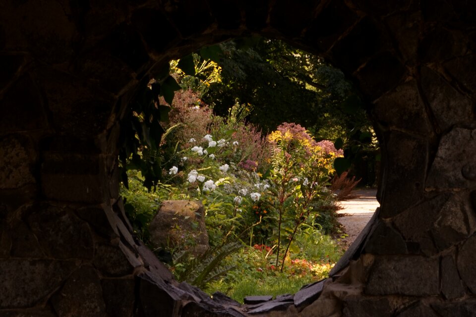 Window flowers stone wall