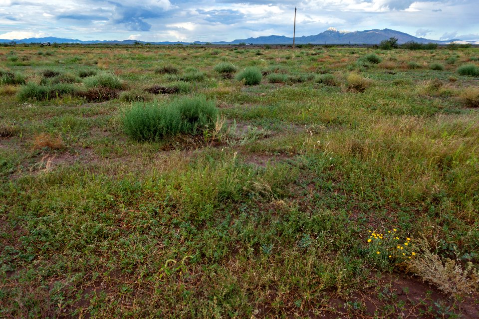 Near U.S. Hwy. 180