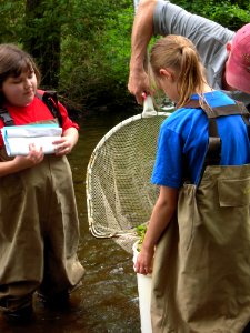 Checking nets for species photo